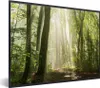 MuchoWow® Gerahmtes Poster Wald - Licht - Natur - Produktbild-Vorschau 1