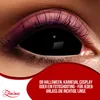 Zoelibat Eyecatcher Sclera 6 Monats-Kontaktlinsen Black Eye Produktbild-Vorschau 14