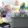 KADAX "Evron" skrzynka na kwiaty, plastikowa skrzynka Podgląd zdjęcia produktu 3