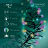Lumineo Lichterkette Cluster 768 LED 7 m Sanftes Bunt, Produktbild-Vorschau 8