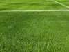 Tappeto erboso sportivo 5 kg (circa 200m²) SPORT seme per Anteprima dell’immagine prodotto 5
