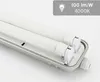 A close-up, angled view of a double LED tube light fixture, showing the two tubes inside a protective casing. Produktbild-Vorschau