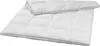 A white down comforter is shown laid out on a white background. Voir les images du produit