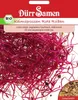Keimsprossen Rote Rübe | -Keimsprossen von Dürr Samen Produktbild-Vorschau 2