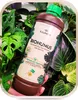 Biohumus für Zimmerpflanzen - 1L - 100% natürlich - fördert Produktbild-Vorschau 6
