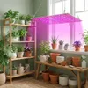 A collection of potted plants on shelves and a bench, illuminated by a grow light. Náhľad obrázku produktu