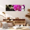 Bild auf Leinwand - Leinwandbild - Orchidee Bambus Produktbild-Vorschau 7
