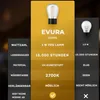 A comparison of two light bulbs, showing their specifications. Produktbild-Vorschau