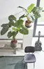 Mica Decorations Taro plante artificielle - H100 x Ø70 cm Voir les images du produit 5