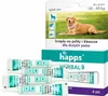 A product box for Happs flea and tick drops for large dogs, with individual tubes shown. Produktbild-Vorschau