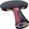 Farfalla Razzi Timo Boll Rubino, S841445 Anteprima dell’immagine prodotto 6