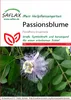 SAFLAX  - Passiflore officinale - 5 graines - Passiflora Voir les images du produit 5
