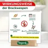 Legona Brackwespen gegen Lebensmittelmotten, 1 Schachtel Produktbild-Vorschau 3