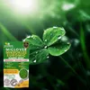 EcoDeco Microtrèfle Euromic MicLover, graines de gazon pour Voir les images du produit 19
