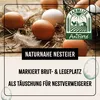 AniForte Toneier für Hühner 6 Stück – Naturgetreue Produktbild-Vorschau 3