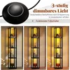 A collage showing a floor lamp with shelves and its dimmable light feature, along with a close-up of the foot switch. Anteprima dell’immagine prodotto