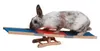 Kerbl Nagerwippe Agility 60x18x12 cm Produktbild-Vorschau 1