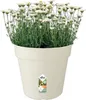 Elho Anzuchttopf  Green Basics weiß Ø 30cm Produktbild-Vorschau 3