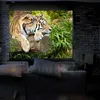 Duronic MPS70 Leinwand | 4:3 Rolloleinwand 70" Zoll 152 x Produktbild-Vorschau 3