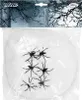 A package of white cobwebs and black spiders for Halloween decoration. Produktbild-Vorschau