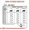 Trockenfutter für Katzen mit empfindlicher Katze – Royal Produktbild-Vorschau 4