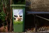 MuchoWow® - Mültonnen-sticker - Sticker - Aufkleber für die Produktbild-Vorschau 5