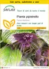 SAFLAX Insieme di coltivazione - Pianta pipistrello - 10 Anteprima dell’immagine prodotto 1