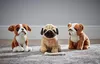 Living Nature - Cagnolino di peluche Carlino, 20 cm Anteprima dell’immagine prodotto 3