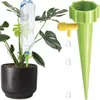 A plant in a pot with a water bottle attached as a self-watering device, and a separate green watering spike with a yellow nozzle. Anteprima dell’immagine prodotto