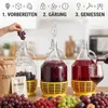 lilawelt24 6 x 5L Glasballon Gärballon Set mit Schutzkorb, Produktbild-Vorschau 4