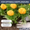 DELUKE® Gabionen Hochbeet ROON aus Stahl | 270×90×100cm | Produktbild-Vorschau 4