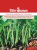 Kenia-Buschbohne Talisman | Kenia-Buschbohnensamen von Dürr Produktbild-Vorschau 1