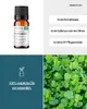 Coriander (10ml) - naturreines, ätherisches Öl von Produktbild-Vorschau 2