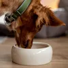 Nobby Keramik Futtertrog Hunde Katzen 1000 ml Creme Produktbild-Vorschau 3
