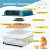 Couveuse entièrement automatique, incubateur de 36 œufs Voir les images du produit 12