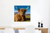 MuchoWow® Poster Schottische Highlander - Tiere - Gras Produktbild-Vorschau 5
