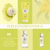 Roger & Gallet Fleur D'Osmanthus Acqua profumata di Anteprima dell’immagine prodotto 7