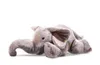 Steiff Trampili Elefant 85 grau lieg Produktbild-Vorschau 1