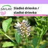 SAFLAX - Sladké drievko / sladké drievko - Glycyrrhiza Náhľad obrázku produktu 10