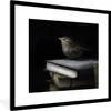 MuchoWow® Gerahmtes Poster Vogel - Bücher - Porträt 40x40 Produktbild-Vorschau 1
