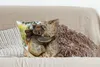 MuchoWow® Zierkissen Sofakissen Wohnzimmer Dekokissen 45x45 Produktbild-Vorschau 4
