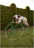 Cupola di arrampicata per bambini HyperMotion XL, geodome, Anteprima dell’immagine prodotto 10
