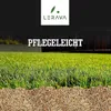 LERAVA TURBO 10m² Rasensamen schnellkeimend - für kühle Produktbild-Vorschau 3