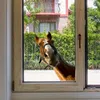 GKA Fenstergucker Fensterbild lustiges und neugieriges Produktbild-Vorschau 1