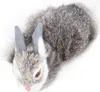 Lapin en peluche réaliste, haute simulation de poils de Voir les images du produit 4