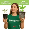 Bio2Grow Myko-Mix 150 Gramm Mykorrhiza Pulver - Dünger Produktbild-Vorschau 5
