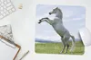 MuchoWow® Mauspad Mousepad Pferd - Aufzucht - Natur 30x30 Produktbild-Vorschau 5