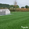 Trávne semeno Shadow – Elegant (1 kg na 50 m2) Náhľad obrázku produktu 8
