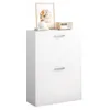 A white shoe cabinet with two drawers is shown against a white background. Decorative items are placed on top of the cabinet. Podgląd zdjęcia produktu