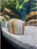 Pietre decorative per acquario, otoczkaki colorati 3-6 cm, Anteprima dell’immagine prodotto 5